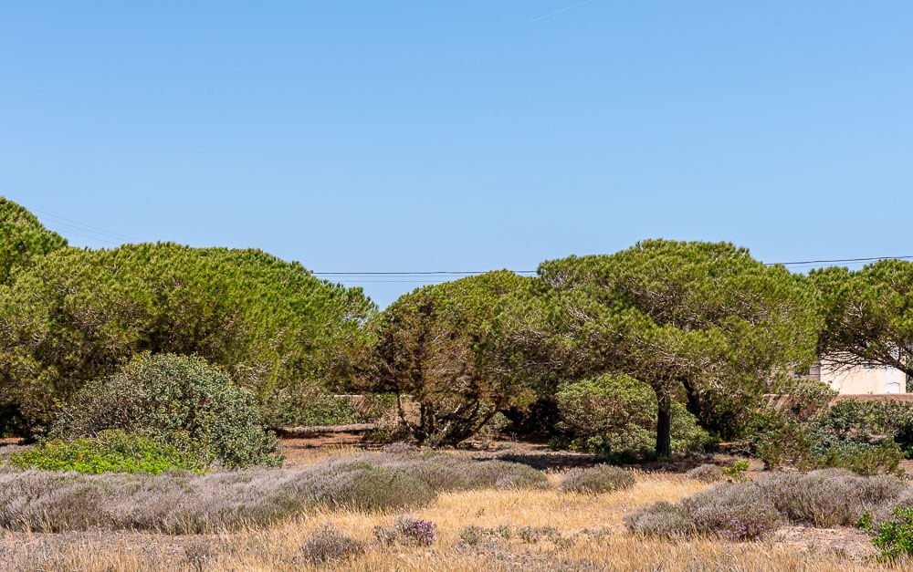 Casa idílica cerca del mar